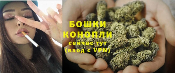 PSILOCYBIN Беломорск